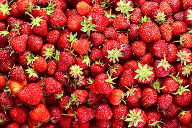 红色的草莓图片下载