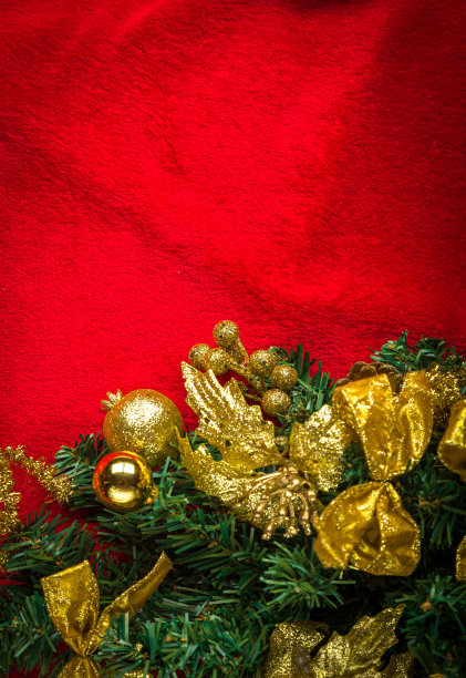 装饰圣诞冷杉树在红色的背景图片下载