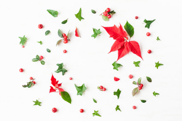 由传统圣诞植物制成的框架。平躺，俯视图图片下载