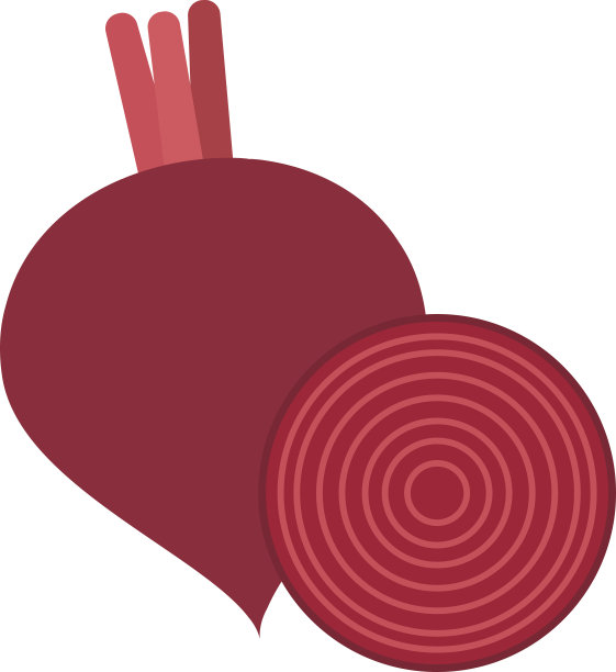 甜菜根与半切矢量插图图片下载