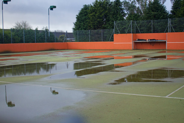 雨停了。图片下载