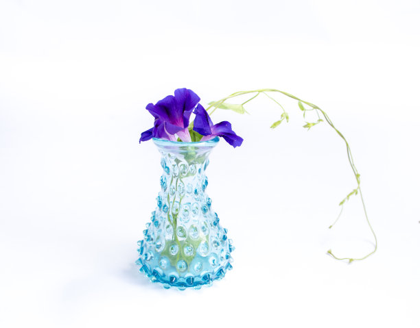 旧的蓝色水罐当花瓶图片下载