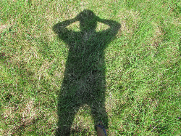 铸造一个影子图片下载