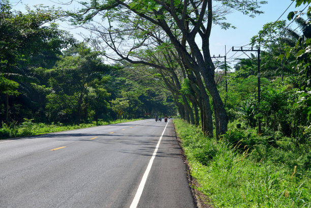 泰国丛林森林沿线的道路图片下载