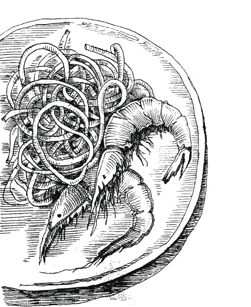 虾面，矢量面图片下载