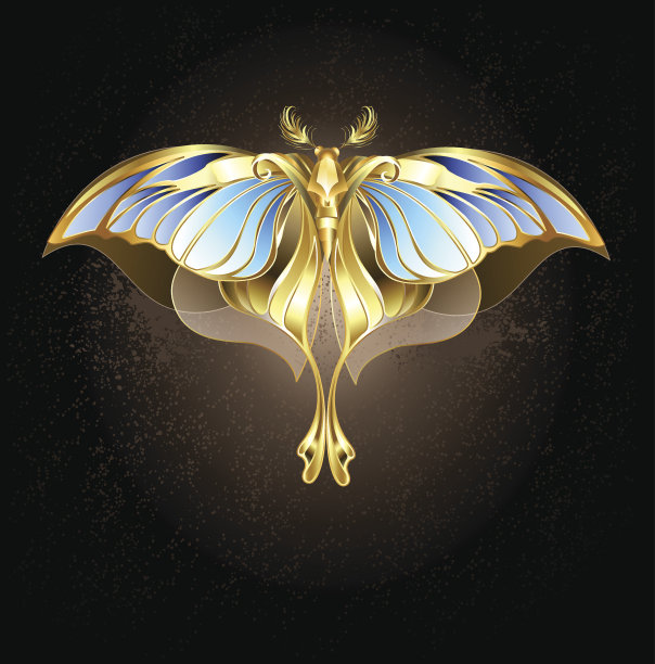 机械蛾图片下载