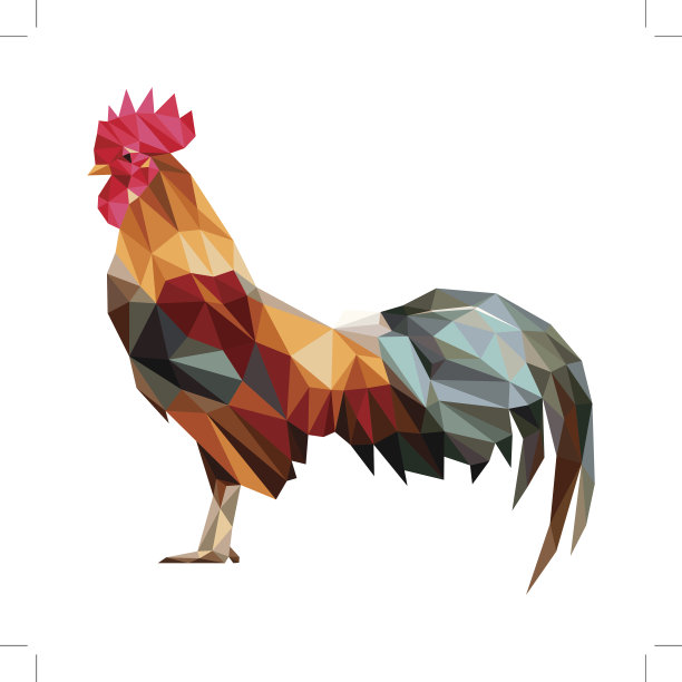 五彩公鸡低多边形站立图片下载