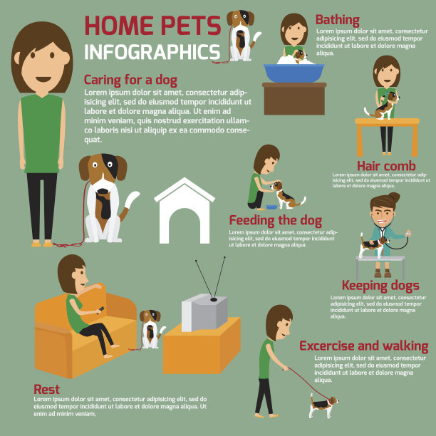 矢量平面插图信息图关心宠物狗。图片下载