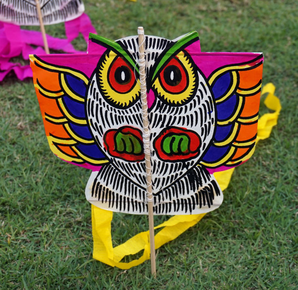 猫头鹰风筝形状的田野图片下载