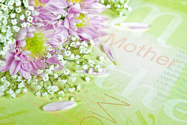 送给妈妈的粉色雏菊花束图片下载