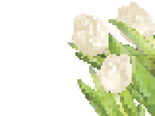 郁金香装饰背景。每股收益10图片下载