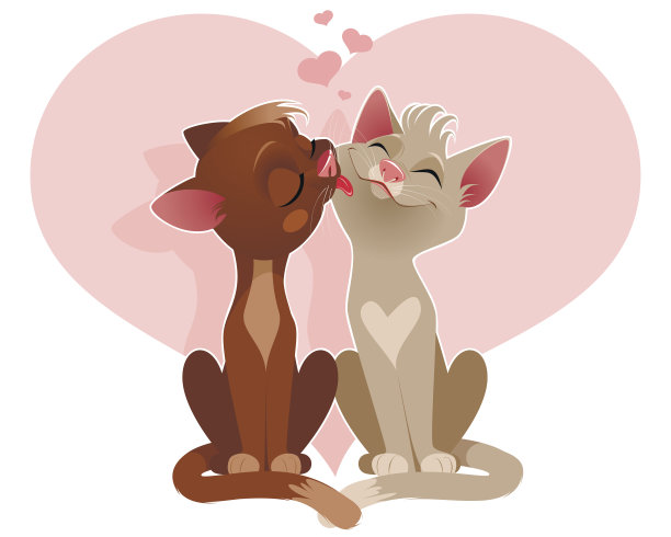 一对爱猫的夫妇图片下载