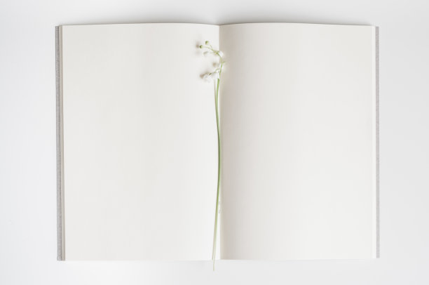 用铃兰翻开空书。图片下载