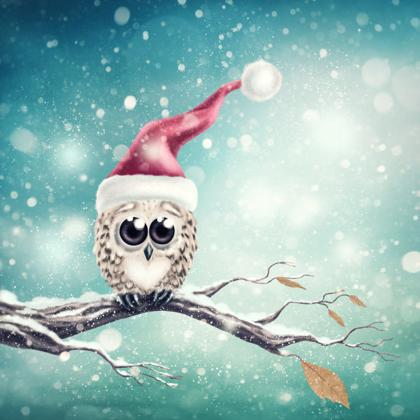 雪小猫头鹰素材图片