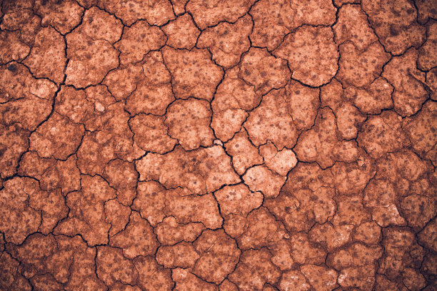 干裂土结构图片下载