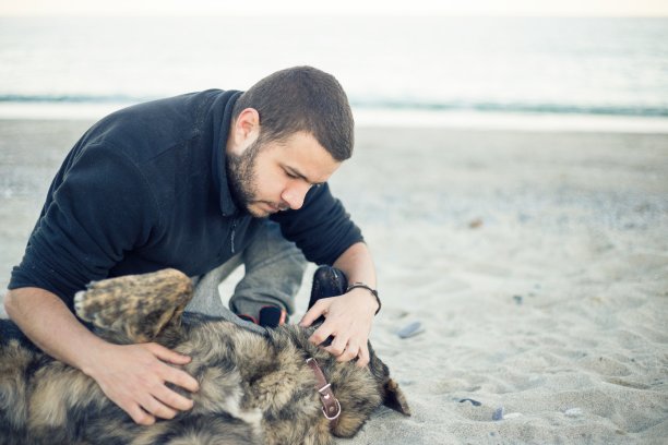 人和狗在沙滩上一起玩耍图片下载