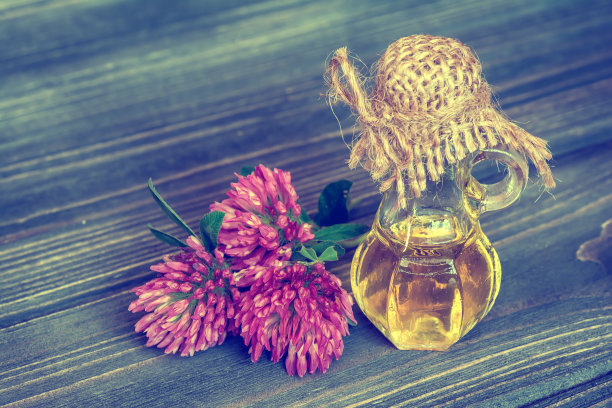 必要的三叶草石油图片下载