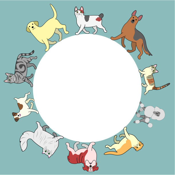 狗和猫圈框架与复制空间图片下载