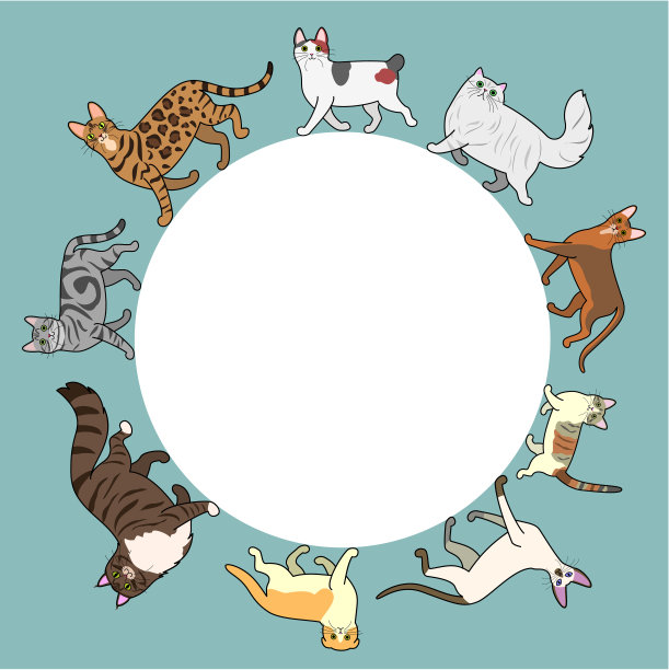猫圈框架与复制空间图片下载