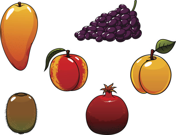 多汁和甜的孤立新鲜水果集图片下载