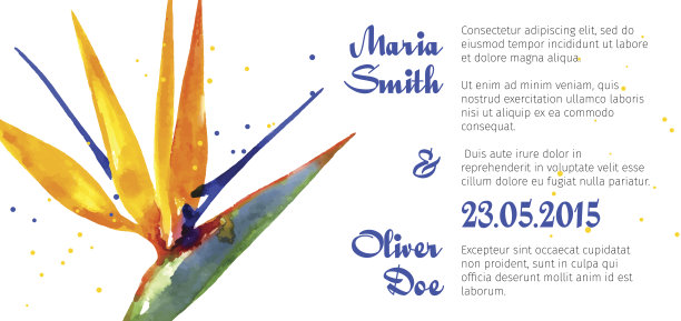 矢量背景与星草花图片下载