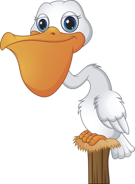 海湾里的卡通鹈鹕图片下载