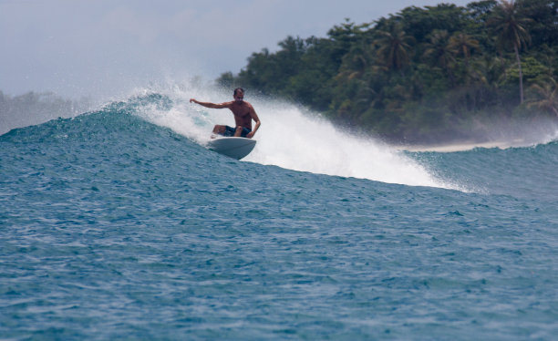 冲浪者在一个波浪和热带棕榈树岛上图片下载