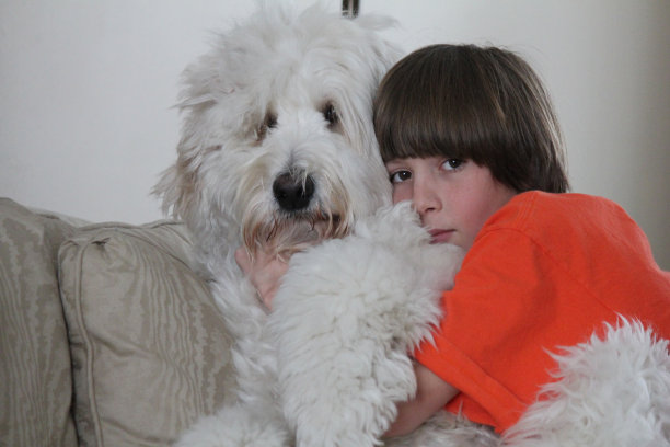 爱狗少年图片下载