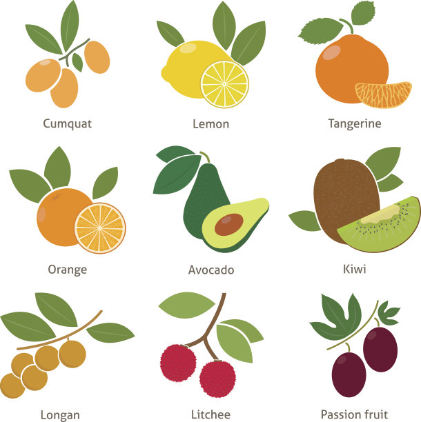 水果和浆果图片下载