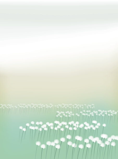 苔藓vaginatum。棉花草地。图片下载