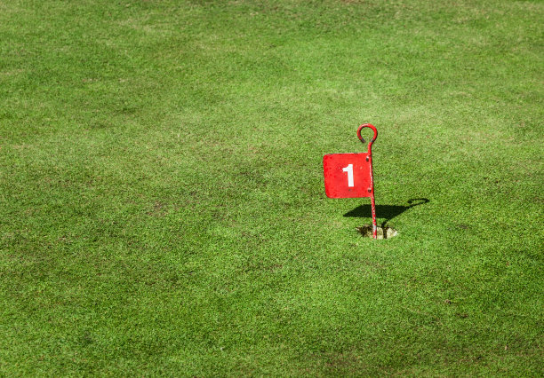 高尔夫球杯标志图片下载