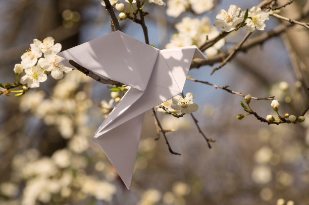 折纸鸽子在盛开的春天的树图片下载