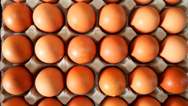 布朗新鲜鸡蛋图片下载