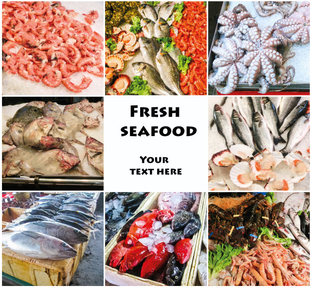 包含生鱼和餐厅菜肴的海鲜拼贴图片下载