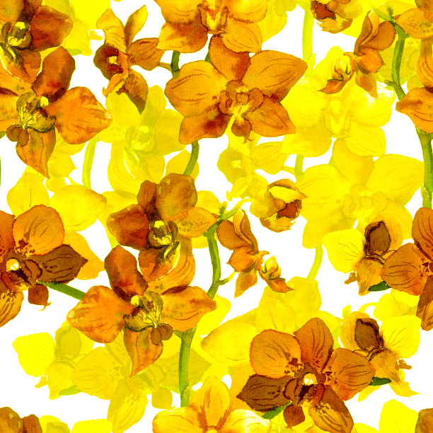 热带兰花-奇异的花卉图案。重复的背景。水彩。图片下载