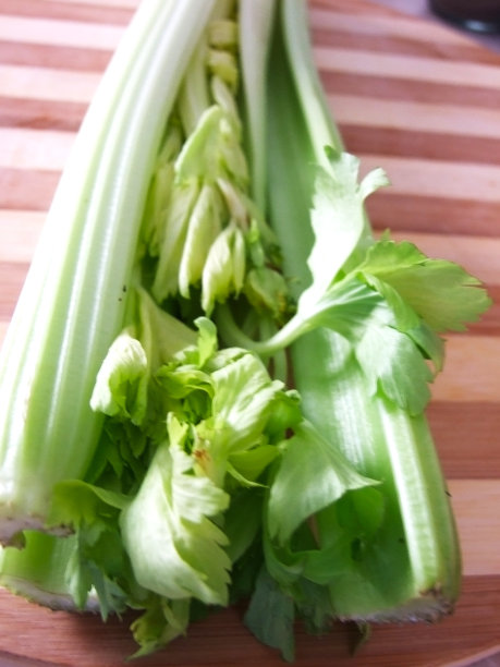 芹菜-阿皮奥图片下载