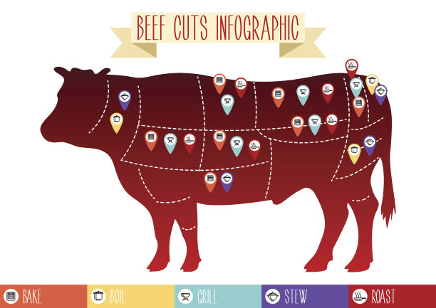 牛肉削减信息图表。图片下载