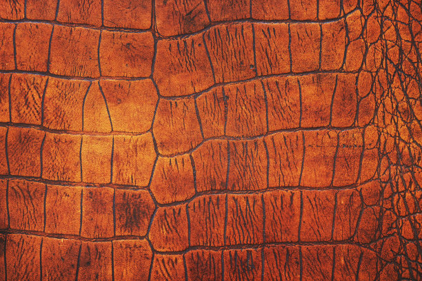 皮革的背景图片下载