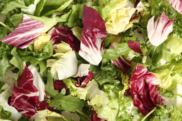 混合绿叶蔬菜的背景。直接上图。图片下载