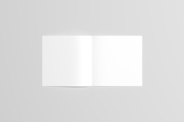 方形目录/杂志模型-鞍针。插图图片下载