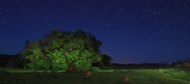 《忏悔者的跳跃》，星夜图片下载