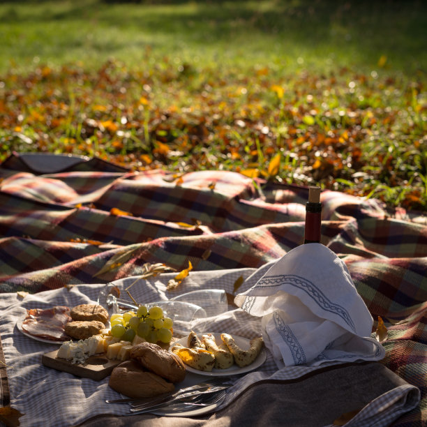 野餐食物和红酒套装图片下载