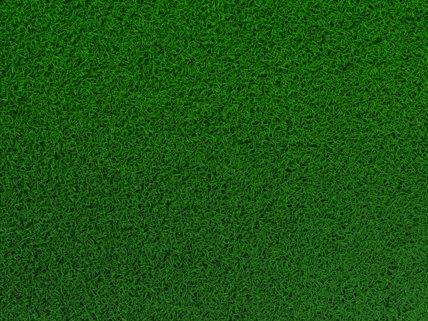 草质地图片下载