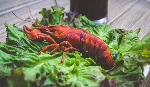 煮小龙虾和啤酒图片下载