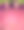 漂亮的粉红色和紫色郁金香。3月8日妇女节卡片。图片下载