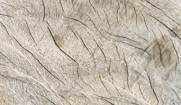 棕色的木质纹理。图片下载