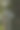 街灯柱上图片下载