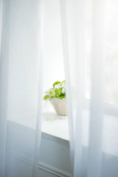 窗户的插花图片下载