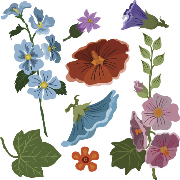 矢量插图不同的花图片下载