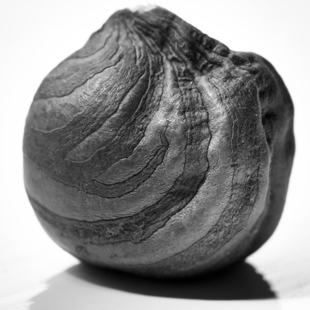 黑色和白色榛果图片下载